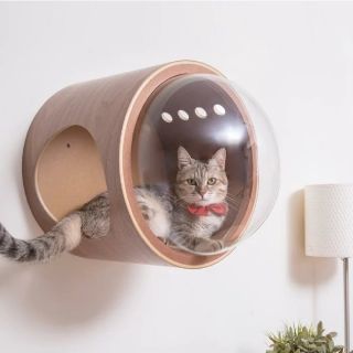 MYZOO 宇宙船ガンマ 猫ハウス ベッド(猫)