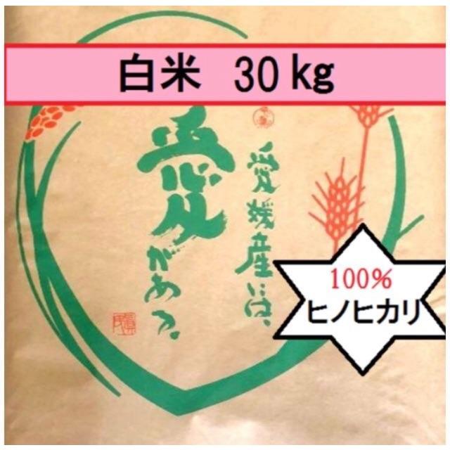 お米　H30　愛媛県産ヒノヒカリ　白米　30㎏