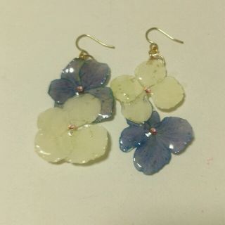 二色の紫陽花ピアス(ピアス)