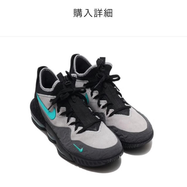 atmos Nike LeBron 16 アトモス 25.5センチ発売日2019年04月26日