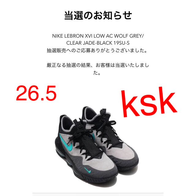 NIKE（ナイキ） LEBRON XVI LOW AC メンズ シューズ