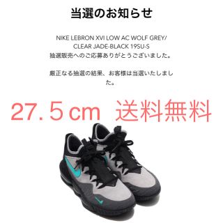 ナイキ(NIKE)のATMOS NIKE LEBRON 16 CLEAR JADE(スニーカー)