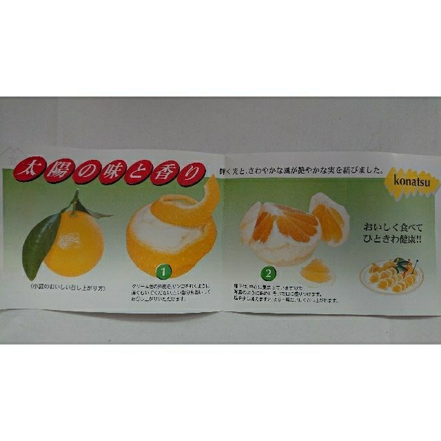 ●Lucky♪様専用●温室 小夏 高知県産 2Sサイズ 5kg ご家庭用 食品/飲料/酒の食品(フルーツ)の商品写真