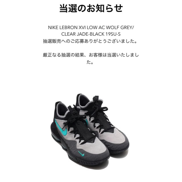 NIKE LEBRON XVI LOW AC 29 JADEスニーカー