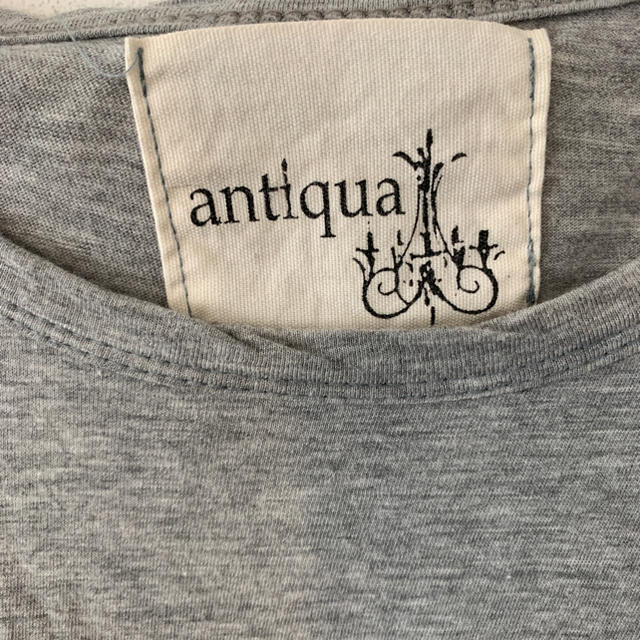 antiqua(アンティカ)のantiquaTシャツ レディースのトップス(Tシャツ(半袖/袖なし))の商品写真