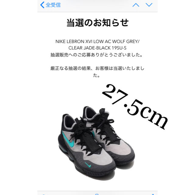 最新★抽選販売★atmos限定NIKE LEBRON 27.5センチゴールデン