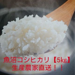 5㎏【魚沼コシヒカリ】農家直送‼️(米/穀物)