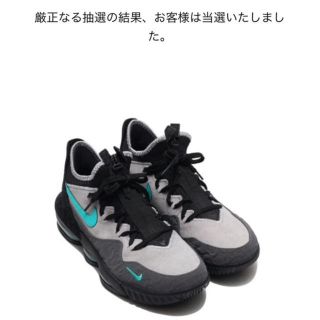 ナイキ(NIKE)のNIKE レブロン 16(スニーカー)