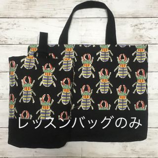 ハンドメイド  レッスンバッグ のみ(バッグ/レッスンバッグ)