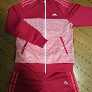 アディダス(adidas)のadidas 150 女子ジャージ ショートパンツ上下セット (その他)