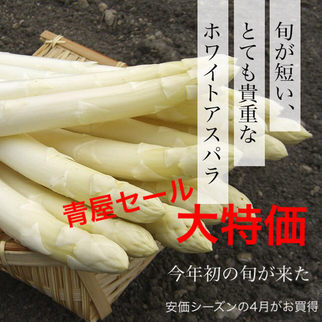 大特価‼︎北海道産ホワイトアスパラ Lサイズ 5束 食品/飲料/酒の食品(野菜)の商品写真