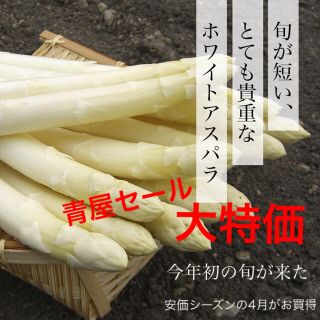 大特価‼︎北海道産ホワイトアスパラ Lサイズ 5束(野菜)