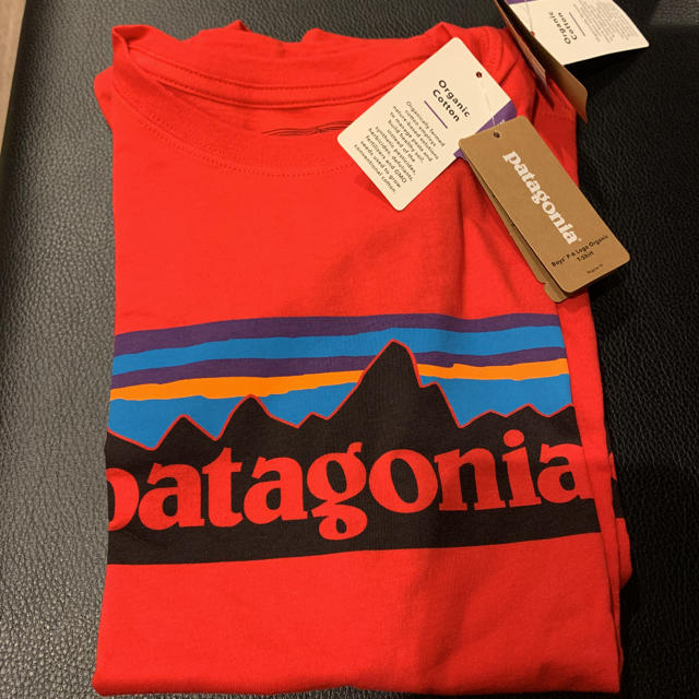 patagonia(パタゴニア)のPatagonia パタゴニア ボーイズ Tシャツ キッズ/ベビー/マタニティのキッズ服男の子用(90cm~)(Tシャツ/カットソー)の商品写真