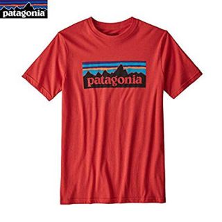 パタゴニア(patagonia)のPatagonia パタゴニア ボーイズ Tシャツ(Tシャツ/カットソー)