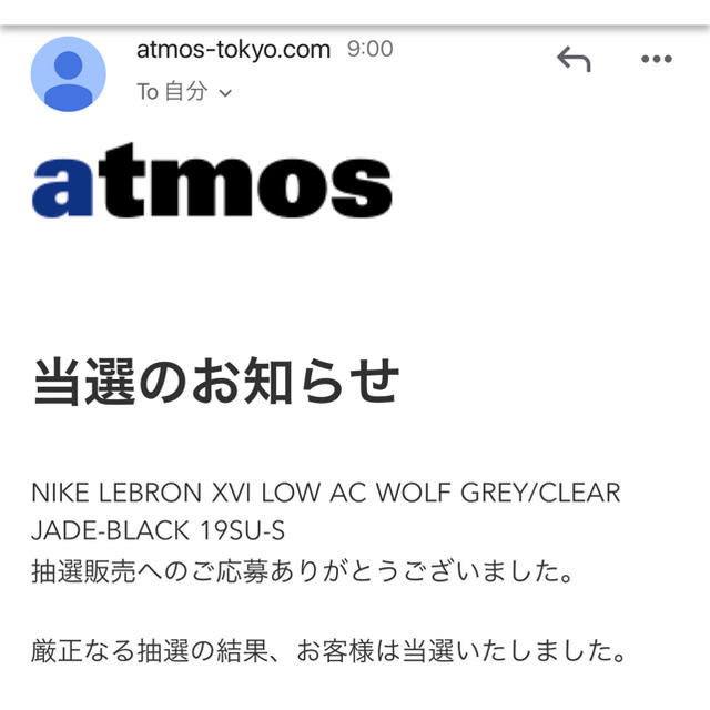 NIKE×atmos レブロン 16 アトモス 28.0cm 限定値下げ！