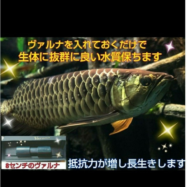 肉球が可愛い 3段スパイスラック&ラップラック(ミルキーホワイト色)D14cm