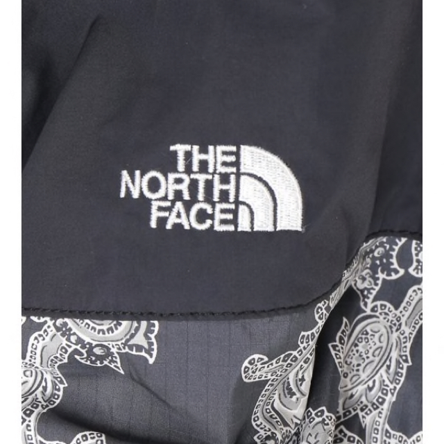 THE NORTH FACE(ザノースフェイス)のTHE NORTH FACE × JOURNAL STANDARD メンズのジャケット/アウター(マウンテンパーカー)の商品写真