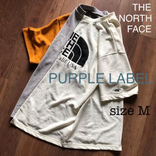 ザノースフェイス(THE NORTH FACE)のノースフェイス NORTH FACE パープルレーベル アシメトリー ロゴT(Tシャツ/カットソー(半袖/袖なし))