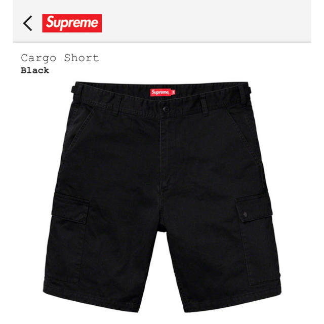 supreme cargo short 2019ss week9 カーゴショーツ新品未使用未試着