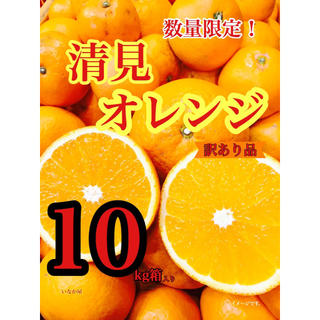 清見オレンジ 訳あり品 平成最後のセール価格(フルーツ)