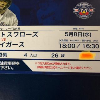 トウキョウヤクルトスワローズ(東京ヤクルトスワローズ)の5月8日(木)スワローズ-タイガース戦1塁側26段1枚。(野球)