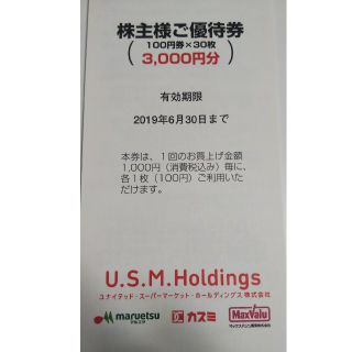 カスミ 株主優待券  3000円分(ショッピング)