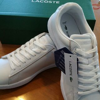 ラコステ(LACOSTE)のスニーカー(スニーカー)