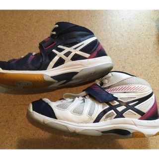 アシックス(asics)のasics バレーボールシューズ  24.0(バレーボール)