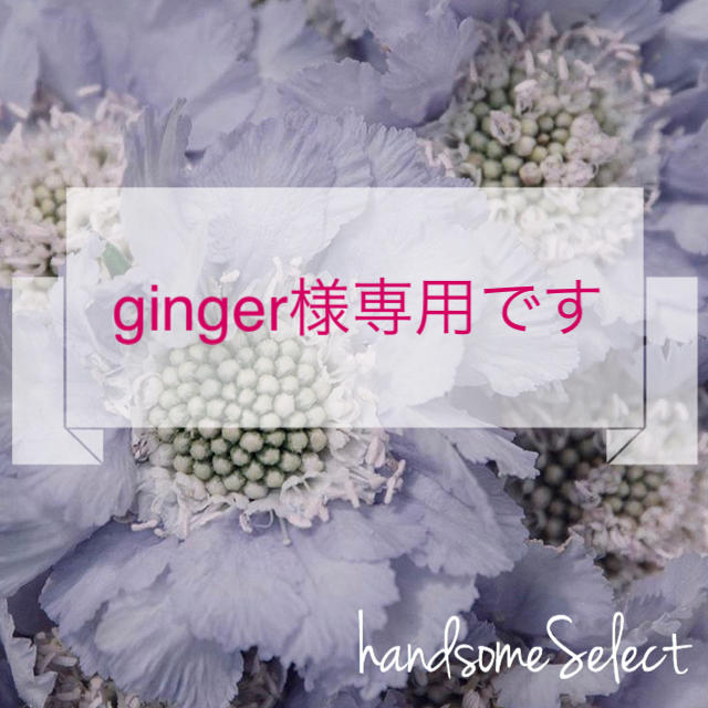 gingerさま