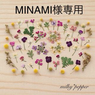 MINAMI様専用 ドライフラワー 押し花(ドライフラワー)