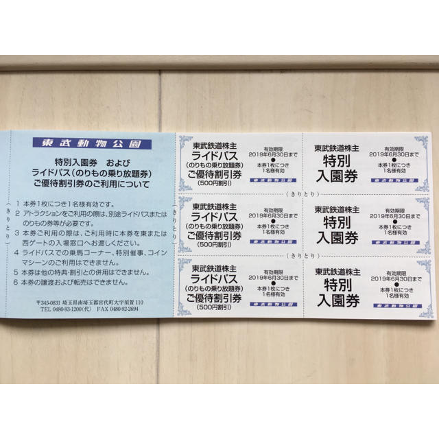 東武動物公園 特別入園券 ☆3枚☆ チケットの施設利用券(動物園)の商品写真