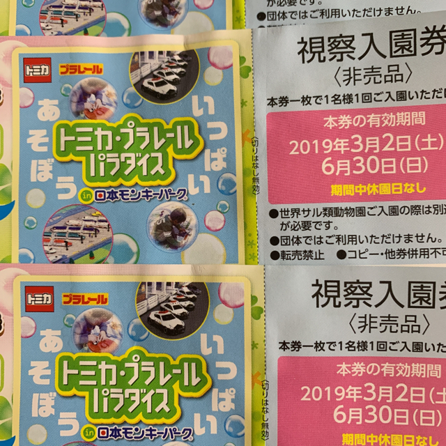 日本モンキーパーク視察入園券 4枚セット チケットの施設利用券(遊園地/テーマパーク)の商品写真
