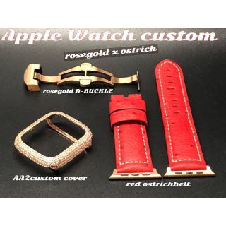 アップルウォッチ(Apple Watch)の再入荷アップルウォッチシリーズ4用カスタムセット(腕時計)