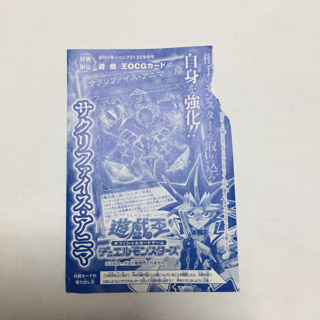 サクリファイス・アニマ3枚 エンタメ/ホビーのトレーディングカード(シングルカード)の商品写真