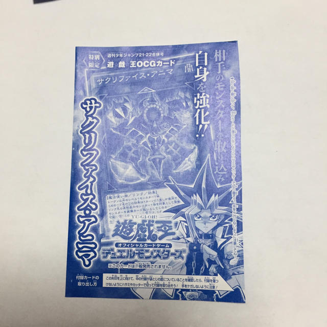 サクリファイス・アニマ3枚 エンタメ/ホビーのトレーディングカード(シングルカード)の商品写真