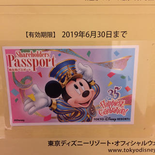 ディズニー(Disney)のディズニー35周年パスポート〈使用済み〉(遊園地/テーマパーク)