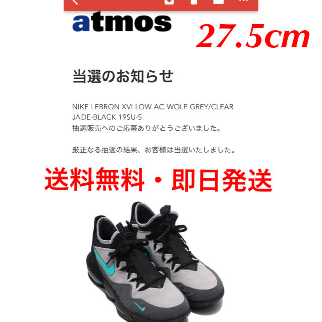 込27.5cm NIKE LEBRON XVI JADE-BLACK atmos