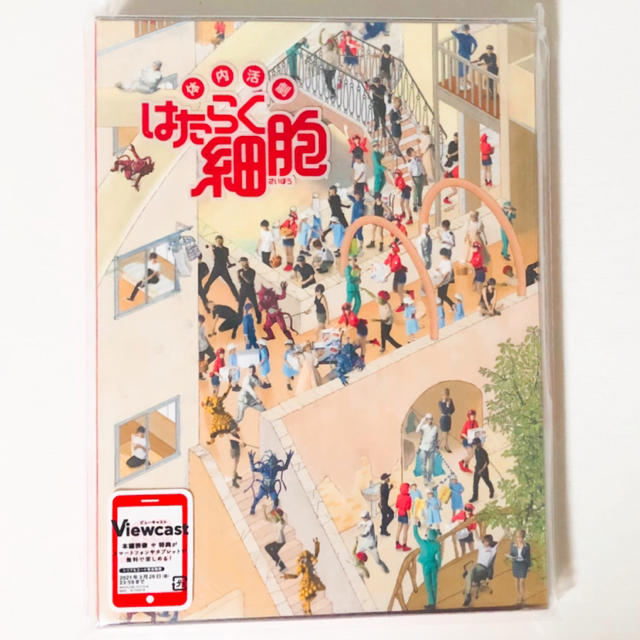 新品★体内活劇★はたらく細胞★DVD