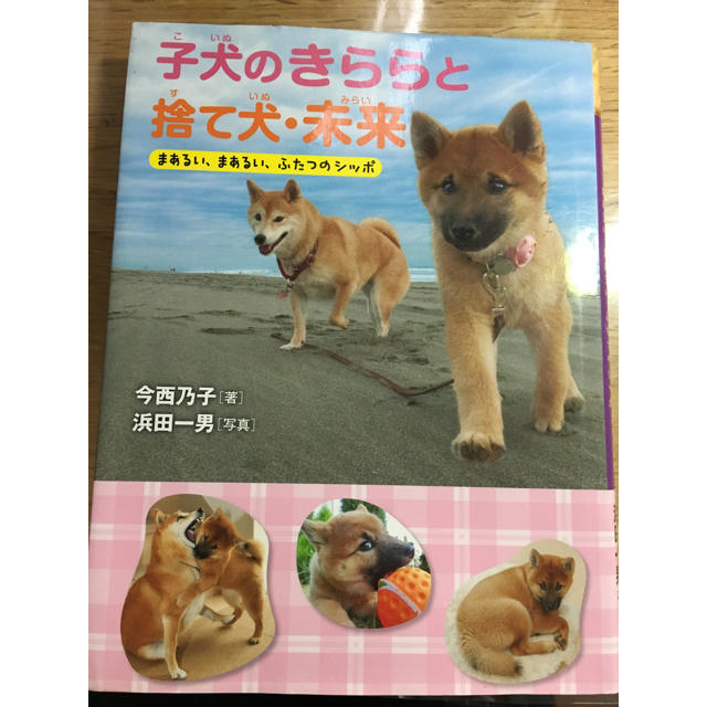 読書感想文 子犬のきららと捨て犬未来の通販 by きの's shop｜ラクマ