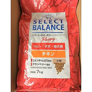 【お買い得サイズ7kg】セレクトバランス パピー／子犬・母犬用 チキン 小粒(ペットフード)