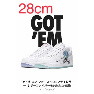 NIKE - NIKE エアフォース1 アースデイコレクション 28.0cmの通販