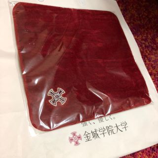 金城学院大学 赤色ハンカチ(ハンカチ)