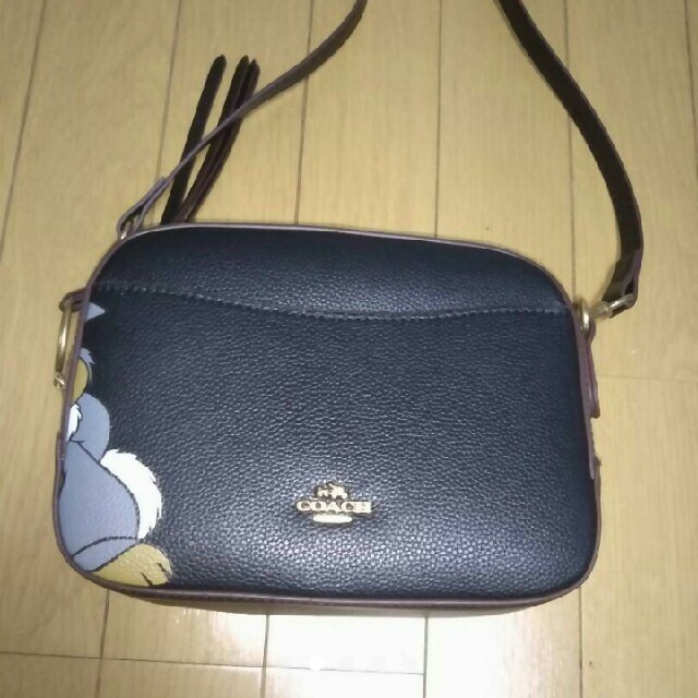 COACH(コーチ)のCOACH ショルダーバッグ レディースのバッグ(ショルダーバッグ)の商品写真