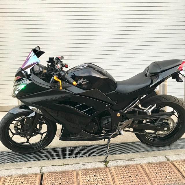 カワサキ(カワサキ)のカワサキNinja250ニンジャ250人気のエボニーブラック期間限定出品  自動車/バイクのバイク(車体)の商品写真