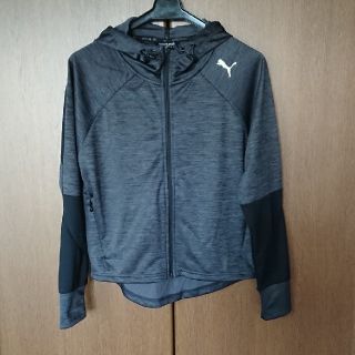 プーマ(PUMA)の【極美品】PUMA レディース　ジャージ　セットアップ(セット/コーデ)