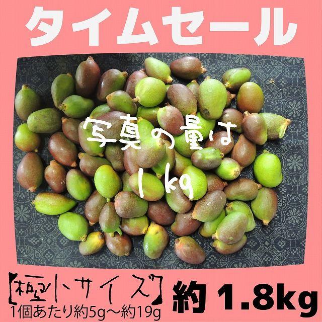 《極小：タイムセール》約1.8キロ　グリーンマンゴー 青マンゴー　加工用 食品/飲料/酒の食品(フルーツ)の商品写真