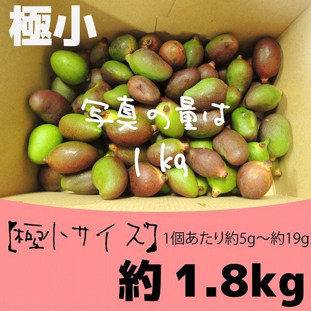 《極小：タイムセール》約1.8キロ　グリーンマンゴー 青マンゴー　加工用 食品/飲料/酒の食品(フルーツ)の商品写真