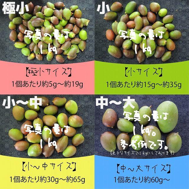 《極小：タイムセール》約1.8キロ　グリーンマンゴー 青マンゴー　加工用 食品/飲料/酒の食品(フルーツ)の商品写真