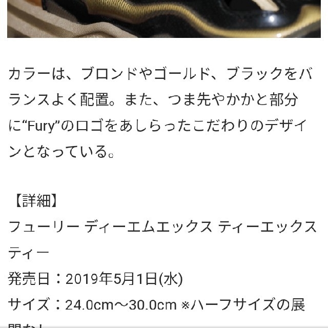 gold fury Reebok メンズの靴/シューズ(スニーカー)の商品写真