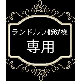 どきどきフリーマーケット招待券2枚幕張メッセ(その他)